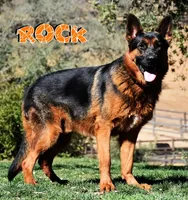 processed/b0a4e330-5be1-4fd0-9098-e6bd1f90fcd6/facility/a33e0808-fa7f-4a71-ab1a-5f54bf15dc89