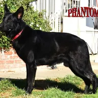 processed/b0a4e330-5be1-4fd0-9098-e6bd1f90fcd6/facility/aa184757-71b6-4594-8173-47888d5b82ae