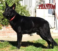 processed/b0a4e330-5be1-4fd0-9098-e6bd1f90fcd6/facility/aa184757-71b6-4594-8173-47888d5b82ae