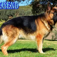 processed/b0a4e330-5be1-4fd0-9098-e6bd1f90fcd6/facility/aa422822-3d21-4f8d-b9ce-66ec5dc42bbc