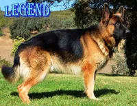 processed/b0a4e330-5be1-4fd0-9098-e6bd1f90fcd6/facility/aa422822-3d21-4f8d-b9ce-66ec5dc42bbc