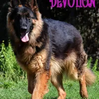 processed/b0a4e330-5be1-4fd0-9098-e6bd1f90fcd6/facility/e4f685af-12ab-464c-b168-4b6e49d5da2c