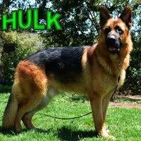 processed/b0a4e330-5be1-4fd0-9098-e6bd1f90fcd6/facility/f3dbe9b8-315b-4e8d-9d81-3c20737f17e4