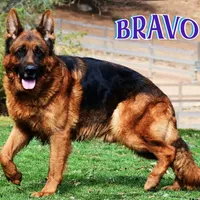 processed/b0a4e330-5be1-4fd0-9098-e6bd1f90fcd6/facility/f4cae4aa-e1b5-4640-82ca-d95c34bca12c