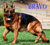 processed/b0a4e330-5be1-4fd0-9098-e6bd1f90fcd6/facility/f4cae4aa-e1b5-4640-82ca-d95c34bca12c