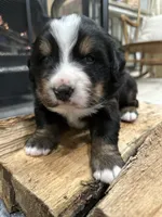 processed/b0a8bc8a-353a-44dc-a917-937f3ad0c7ba/listing/9370c1e3-6154-49c8-902c-58b496a75aef/0feb2687-7834-4d1f-a9dc-c231237fe12a