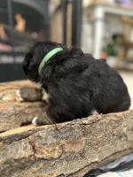 processed/b0a8bc8a-353a-44dc-a917-937f3ad0c7ba/listing/9370c1e3-6154-49c8-902c-58b496a75aef/49da9511-d00e-4ef5-b60a-f1ba73104df7