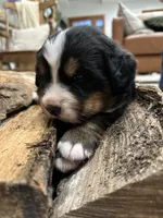 processed/b0a8bc8a-353a-44dc-a917-937f3ad0c7ba/listing/9370c1e3-6154-49c8-902c-58b496a75aef/776a14fb-0786-48e8-98e7-ba589372f131