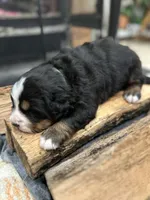 processed/b0a8bc8a-353a-44dc-a917-937f3ad0c7ba/listing/9370c1e3-6154-49c8-902c-58b496a75aef/a04141b1-0057-4f33-a671-82f50fd70329