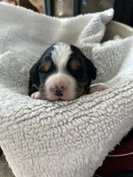 processed/b0a8bc8a-353a-44dc-a917-937f3ad0c7ba/listing/a0a91a09-aa18-4962-af38-237cdaf8e34e/3632204e-eab4-44a9-acdb-381eb65e7eb6