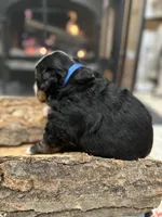 processed/b0a8bc8a-353a-44dc-a917-937f3ad0c7ba/listing/a0a91a09-aa18-4962-af38-237cdaf8e34e/8b2474a8-1051-47a7-b7b7-255a1e1e6816