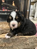 processed/b0a8bc8a-353a-44dc-a917-937f3ad0c7ba/listing/a0a91a09-aa18-4962-af38-237cdaf8e34e/dea8f952-a14f-4f86-8e93-9f707c1e8f86