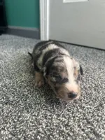 processed/b0b0cc30-a5a0-4ec4-9730-ec41193ab9c5/listing/3e2bce83-5aae-45f1-aa75-fc01a4a96d8a/0a3fc880-b27f-4bd2-bfac-34a56ecd1faa