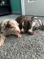 processed/b0b0cc30-a5a0-4ec4-9730-ec41193ab9c5/listing/3e2bce83-5aae-45f1-aa75-fc01a4a96d8a/178f62d3-699c-4371-ba9b-6a1a8f3add6a