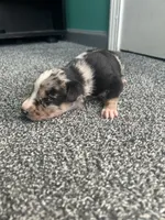 processed/b0b0cc30-a5a0-4ec4-9730-ec41193ab9c5/listing/3e2bce83-5aae-45f1-aa75-fc01a4a96d8a/3c7964c0-9390-4a98-ab21-dcde78775330