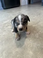 processed/b0b0cc30-a5a0-4ec4-9730-ec41193ab9c5/listing/3e2bce83-5aae-45f1-aa75-fc01a4a96d8a/4c326628-a83b-4c46-b329-3be72777487f