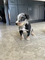 processed/b0b0cc30-a5a0-4ec4-9730-ec41193ab9c5/listing/3e2bce83-5aae-45f1-aa75-fc01a4a96d8a/7ed38e2f-9d0a-4bb5-a612-fac6ea416faf