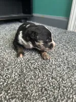 processed/b0b0cc30-a5a0-4ec4-9730-ec41193ab9c5/listing/97089583-f9b6-4594-953f-61be13860847/1d7a22b9-23f9-4ad0-a8fc-fd4dfbdb6073