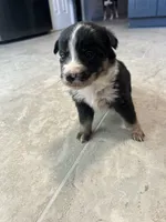 processed/b0b0cc30-a5a0-4ec4-9730-ec41193ab9c5/listing/97089583-f9b6-4594-953f-61be13860847/cd8a2b56-0e0c-4cec-80ab-22ac7ba62ea2