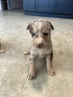 processed/b0b0cc30-a5a0-4ec4-9730-ec41193ab9c5/listing/c3e17b32-04ff-4219-aeeb-b31ae3fc958d/334d53b5-1a4a-4557-8a98-82faa8a3c837