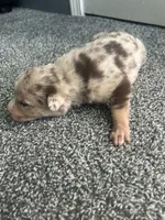 processed/b0b0cc30-a5a0-4ec4-9730-ec41193ab9c5/listing/c3e17b32-04ff-4219-aeeb-b31ae3fc958d/d3d9b60d-2c8d-4fad-8f7e-b1f9b6e1e36e