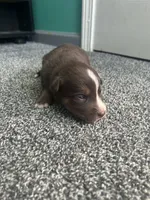 processed/b0b0cc30-a5a0-4ec4-9730-ec41193ab9c5/listing/d2574c45-daf1-4a93-ac8d-6e861f32c8a3/2490252b-7b35-4b79-ad7a-dd4ad82dc9ed