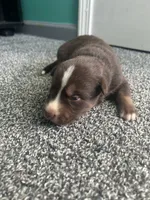 processed/b0b0cc30-a5a0-4ec4-9730-ec41193ab9c5/listing/d2574c45-daf1-4a93-ac8d-6e861f32c8a3/57d4dec8-0e0e-42a9-a745-c730510181fc