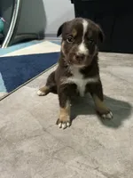 processed/b0b0cc30-a5a0-4ec4-9730-ec41193ab9c5/listing/d2574c45-daf1-4a93-ac8d-6e861f32c8a3/dd7aaad2-2cfc-4bee-9327-bd4adcd3547f