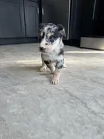 processed/b0b0cc30-a5a0-4ec4-9730-ec41193ab9c5/listing/e170971d-22f4-40e3-b9e2-079962adf600/0b301df7-ccbb-4e04-beed-6d266ec0f34c