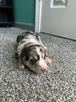 processed/b0b0cc30-a5a0-4ec4-9730-ec41193ab9c5/listing/e170971d-22f4-40e3-b9e2-079962adf600/5e46b24b-f5a9-44d5-8e35-c4b42376ab76