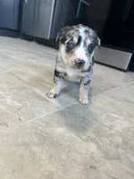 processed/b0b0cc30-a5a0-4ec4-9730-ec41193ab9c5/listing/e170971d-22f4-40e3-b9e2-079962adf600/e55c2e26-3acf-462c-b64e-a7049ab9ec3b