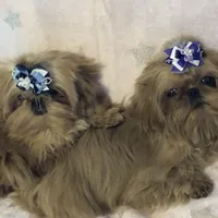 processed/b0b4fd9a-db4f-46e1-8fb3-823c47f380dc/facility/3775982e-fb7d-42d4-9da7-ad4cdb21dbd7