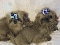 processed/b0b4fd9a-db4f-46e1-8fb3-823c47f380dc/facility/3775982e-fb7d-42d4-9da7-ad4cdb21dbd7