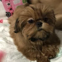 processed/b0b4fd9a-db4f-46e1-8fb3-823c47f380dc/facility/92e0d734-53ea-404b-a499-baaf64192e94