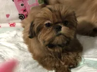 processed/b0b4fd9a-db4f-46e1-8fb3-823c47f380dc/facility/92e0d734-53ea-404b-a499-baaf64192e94