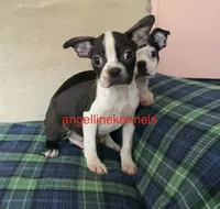 processed/b0b6f5a6-8c8f-4d91-b8c8-824f9a949a5b/listing/2a50d40f-ecb7-412e-b778-ba00a3022b60/b027ad91-496c-46b4-90fb-598c31b4a264