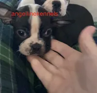 processed/b0b6f5a6-8c8f-4d91-b8c8-824f9a949a5b/listing/2a50d40f-ecb7-412e-b778-ba00a3022b60/da1af762-7fcb-4b16-b782-f96f946d99b0