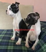 processed/b0b6f5a6-8c8f-4d91-b8c8-824f9a949a5b/listing/2a50d40f-ecb7-412e-b778-ba00a3022b60/ee4f53ca-3644-4220-88fe-bb1319288ee5