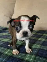 processed/b0b6f5a6-8c8f-4d91-b8c8-824f9a949a5b/listing/30e3e265-6f7e-47b6-9fae-55068fd0b38d/4359a014-6ccd-40ed-b5c4-c4633654f56f