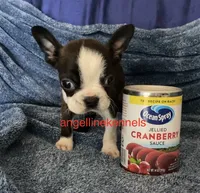 processed/b0b6f5a6-8c8f-4d91-b8c8-824f9a949a5b/listing/30e3e265-6f7e-47b6-9fae-55068fd0b38d/e1f9209d-c0bc-4358-8ae8-3383b6e1a8b5