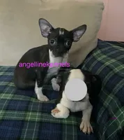 processed/b0b6f5a6-8c8f-4d91-b8c8-824f9a949a5b/listing/3302f728-b5c7-4118-9fd1-fe80f1b8736b/29526642-b3aa-4aa5-bc66-b34b553ecc21