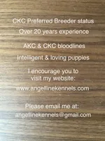 Male/neuter contract, a male Boston Terrier for sale in Panama City, FL – 4 of 4