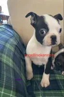 processed/b0b6f5a6-8c8f-4d91-b8c8-824f9a949a5b/listing/3fb63691-4719-4f78-8a7a-3cd9812202f5/a80cbc11-bcca-4ef1-b860-cc15f74a9ccf