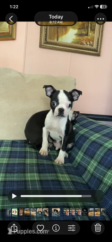 Male/neuter contract