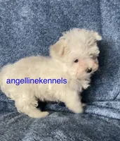 processed/b0b6f5a6-8c8f-4d91-b8c8-824f9a949a5b/listing/520013a4-d3ce-4d72-87f5-f8fd2310fe96/4a9dc22c-3c28-4af1-8363-52902885e87d