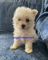 processed/b0b6f5a6-8c8f-4d91-b8c8-824f9a949a5b/listing/520013a4-d3ce-4d72-87f5-f8fd2310fe96/6b8b5453-60e2-4e30-9ecd-8887ea122e6a