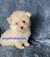 processed/b0b6f5a6-8c8f-4d91-b8c8-824f9a949a5b/listing/520013a4-d3ce-4d72-87f5-f8fd2310fe96/82a4f038-363c-49f5-a223-c2cda70aa7b8