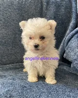 processed/b0b6f5a6-8c8f-4d91-b8c8-824f9a949a5b/listing/520013a4-d3ce-4d72-87f5-f8fd2310fe96/a1f65292-6f81-43eb-b31a-ab0b8458084d