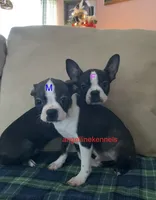 processed/b0b6f5a6-8c8f-4d91-b8c8-824f9a949a5b/listing/5f063713-f3a2-4f44-bf61-383f6cad7e87/3b51cafd-a961-4107-b1fa-c32437f643e6