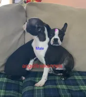 processed/b0b6f5a6-8c8f-4d91-b8c8-824f9a949a5b/listing/5f063713-f3a2-4f44-bf61-383f6cad7e87/d14626b3-2073-4d94-8bcc-8f41de493b6c